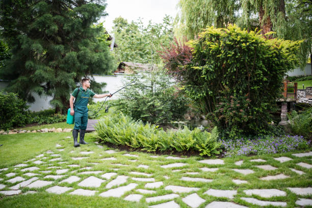 Best Termite Control Services  in Sa Loma, CA