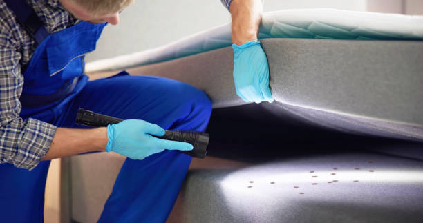 Pest Control for Restaurants in Casa Loma, CA