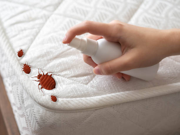 Best Best Pest Control Companies  in Sa Loma, CA